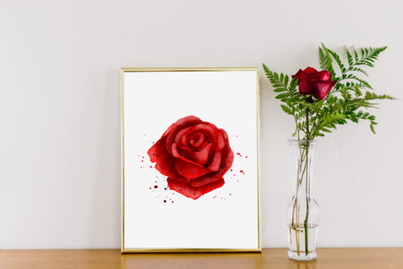 Download Red Rose Watercolor Illustration PNG - Premium Resources
