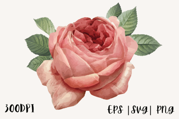 Download Decorative Watercolor Rose Illustration - Premium Resources