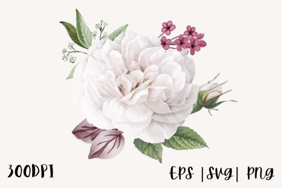 Download White Watercolor Rose Illustration Png - Rose illustration png Collection