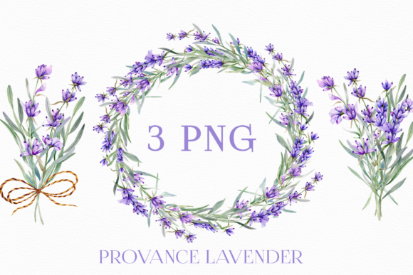 Download LAVENDER WATERCOLOR CLIPART - Premium Resources