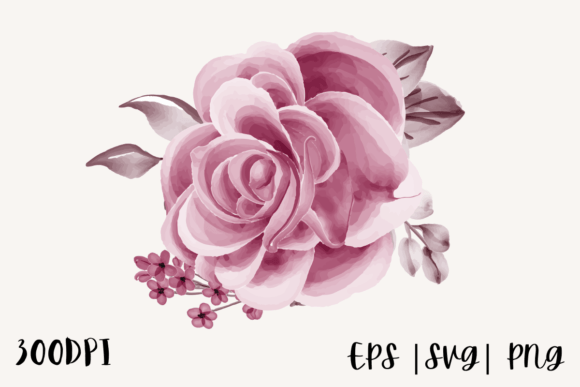 Download Watercolor Rose Illustration Png - Rose illustration png Collection