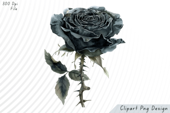 Download Black Rose Watercolor PNG Clipart - Premium Resources